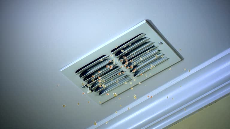 Best HVAC System Cleaning  in Coeur Dalene, ID